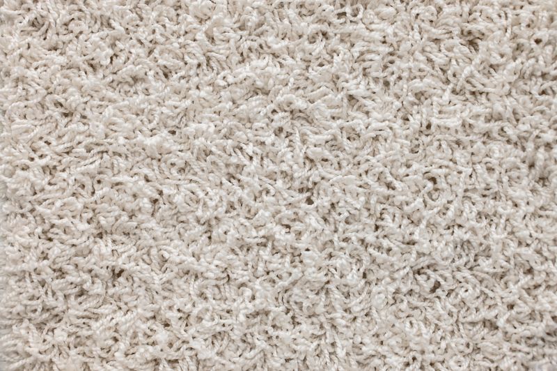 Shag Carpet Installation in Freehold, NJ