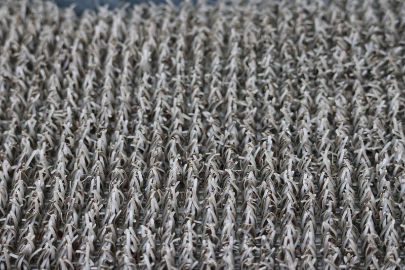 Carpet Cushion Replacement in Olathe, KS