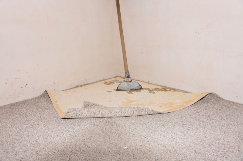 Carpet Underlay Replacement in Overland Park, KS