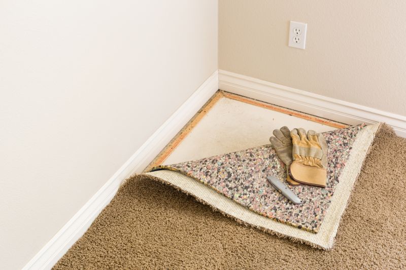 Carpet Underlay Replacement in Olathe, KS
