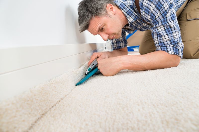 Pet Stain Carpet Repair in Kansas City, KS
